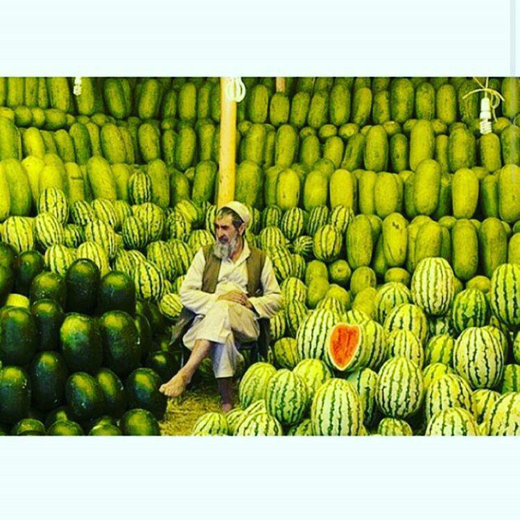 watermelon Afghanistan